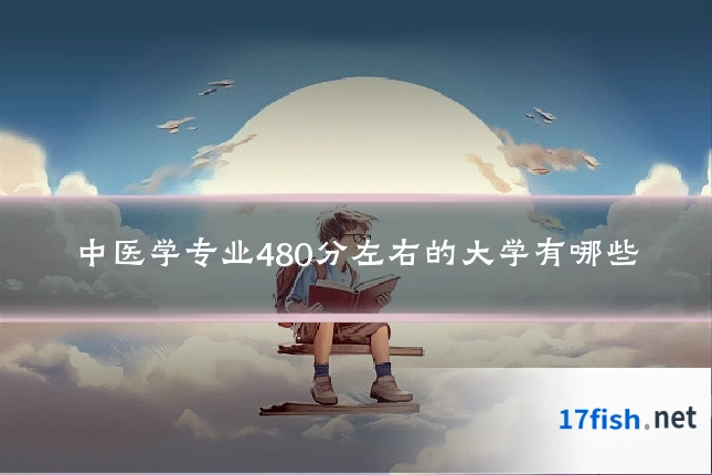 中医学专业480分左右的大学有哪些
