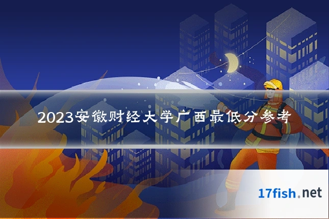 2023安徽财经大学广西最低分参考