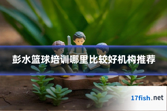 彭水篮球培训哪里比较好机构推荐