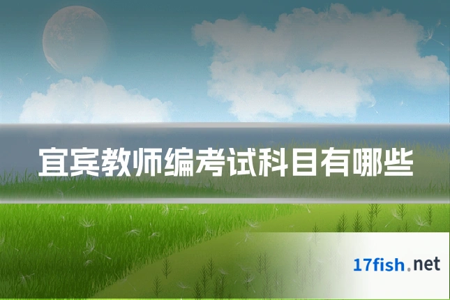 宜宾教师编考试科目有哪些