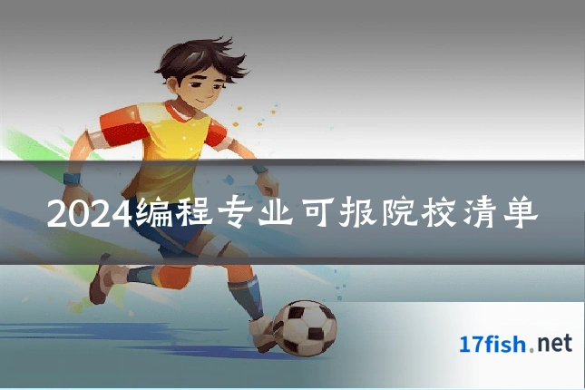 2024编程专业可报院校清单