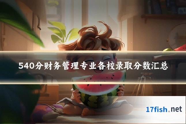 540分财务管理专业各校录取分数汇总