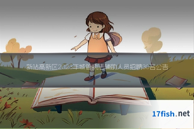 新站高新区2023年城管执法辅助人员招聘30名公告