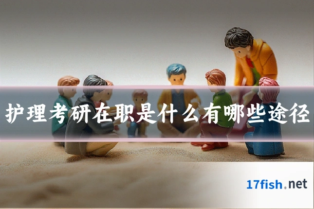 护理考研在职是什么有哪些途径