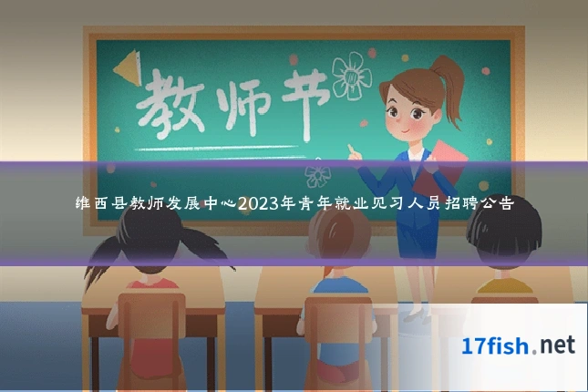 维西县教师发展中心2023年青年就业见习人员招聘公告