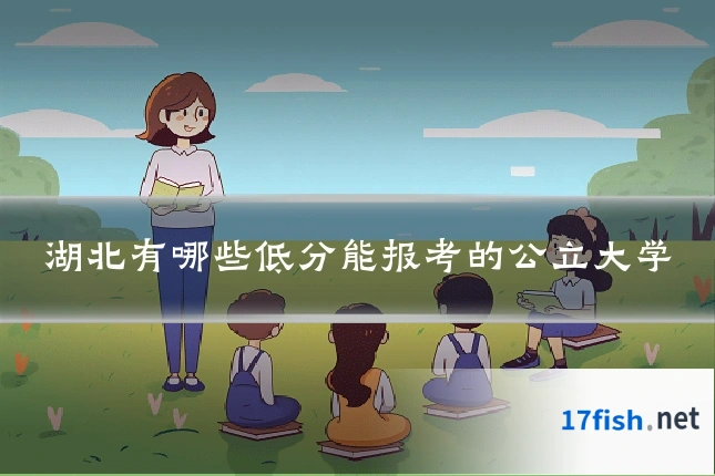 湖北有哪些低分能报考的公立大学