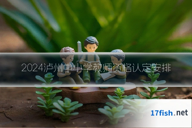 2024泸州中小学教师资格认定安排