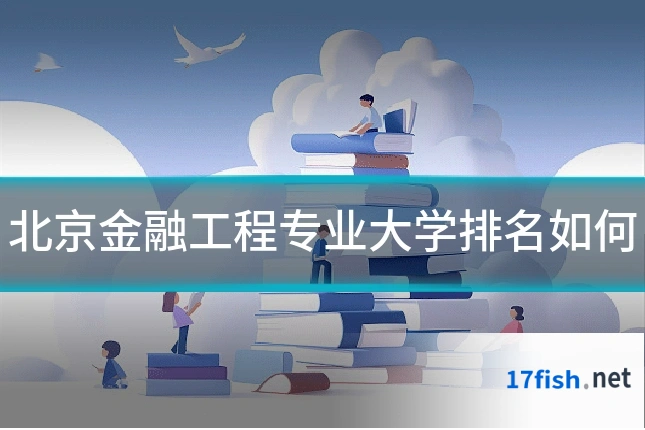 北京金融工程专业大学排名如何