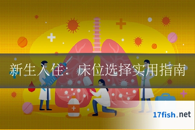 新生入住：床位选择实用指南