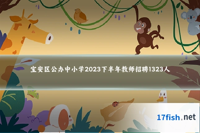 宝安区公办中小学2023下半年教师招聘1323人
