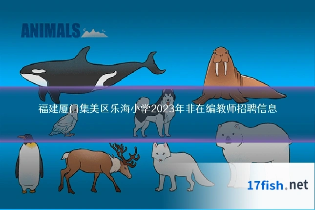福建厦门集美区乐海小学2023年非在编教师招聘信息