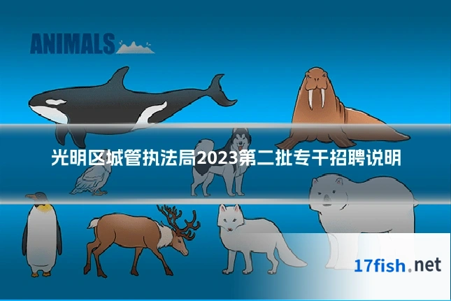 光明区城管执法局2023第二批专干招聘说明