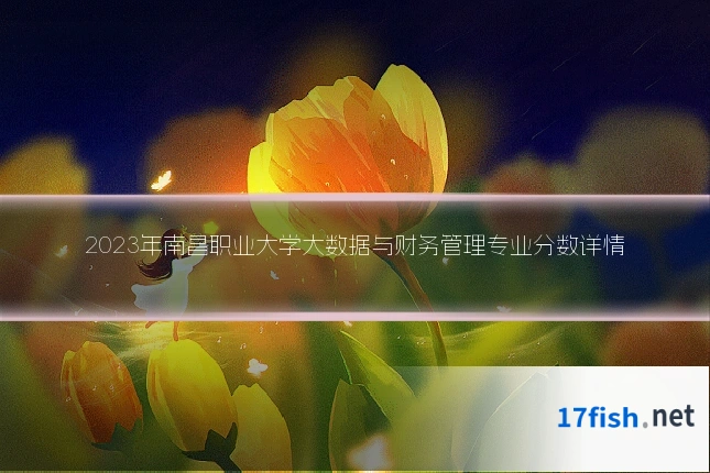 2023年南昌职业大学大数据与财务管理专业分数详情