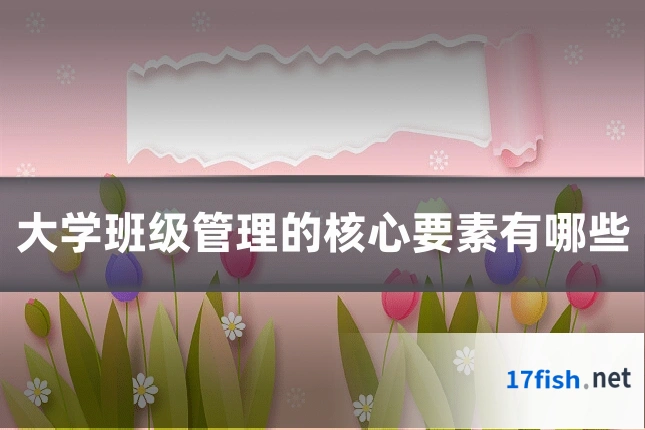 大学班级管理的核心要素有哪些