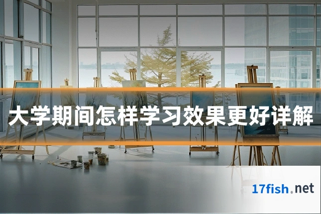 大学期间怎样学习效果更好详解