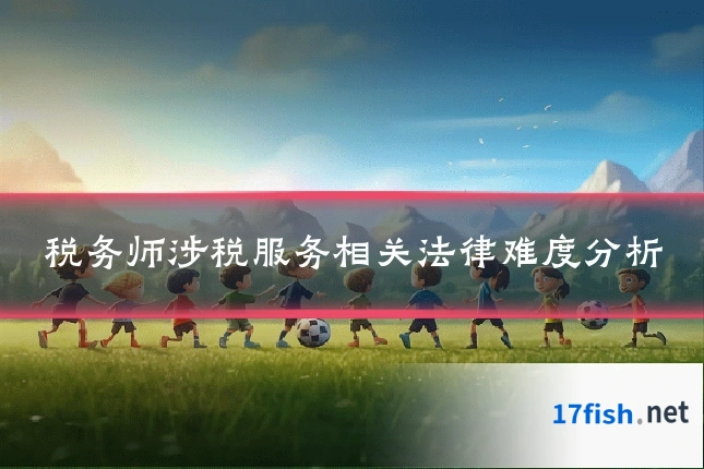 税务师涉税服务相关法律难度分析