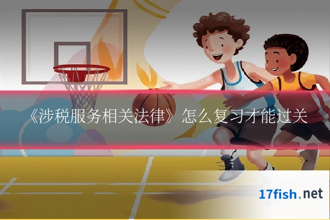 《涉税服务相关法律》怎么复习才能过关