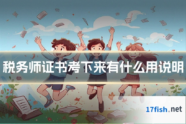 税务师证书考下来有什么用说明