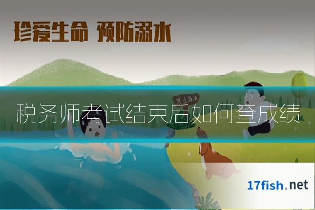 税务师考试结束后如何查成绩