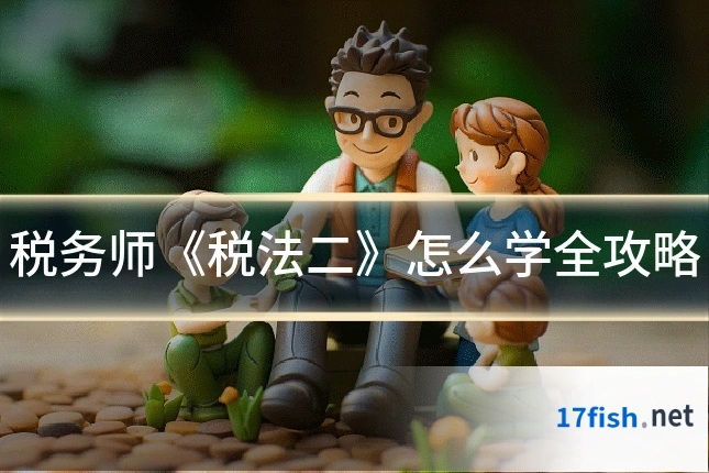 税务师《税法二》怎么学全攻略