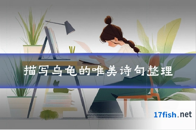 描写乌龟的唯美诗句整理
