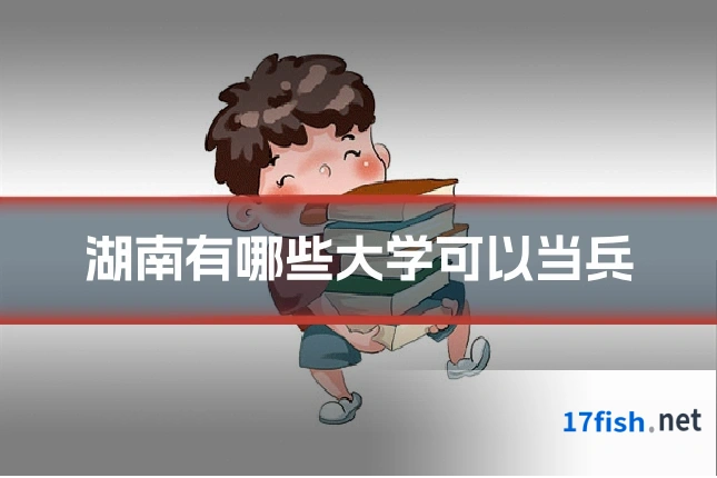 湖南有哪些大学可以当兵
