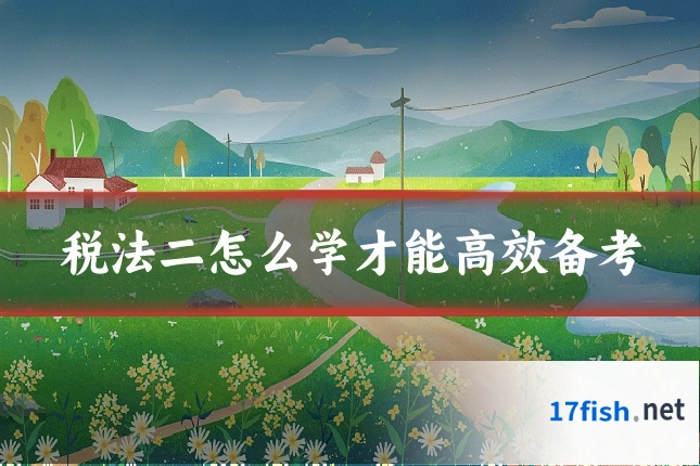 税法二怎么学才能高效备考