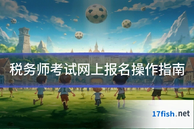 税务师考试网上报名操作指南