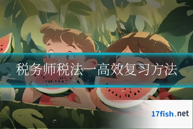 税务师税法一高效复习方法