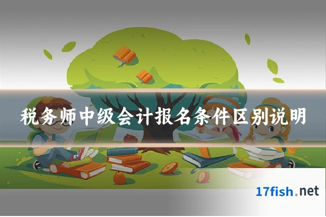 税务师中级会计报名条件区别说明