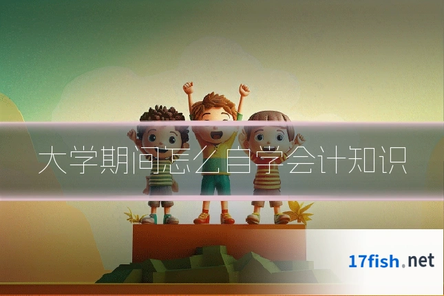 大学期间怎么自学会计知识