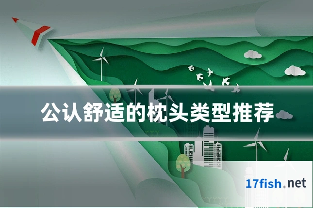 公认舒适的枕头类型推荐