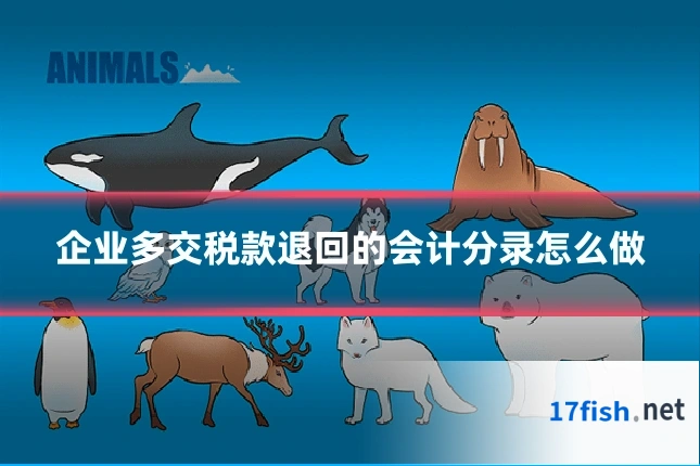 企业多交税款退回的会计分录怎么做