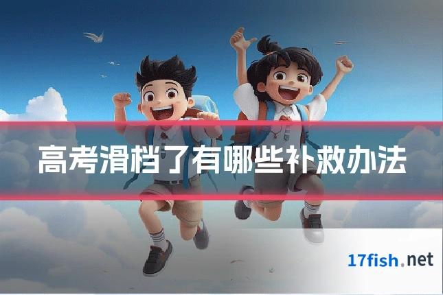 高考滑档了有哪些补救办法