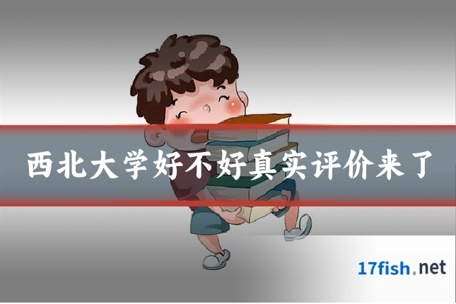 西北大学好不好真实评价来了