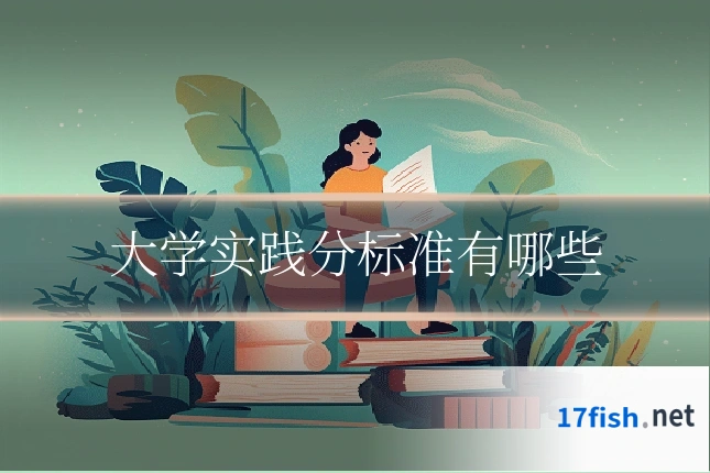 大学实践分标准有哪些