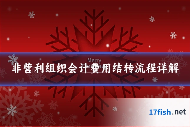 非营利组织会计费用结转流程详解