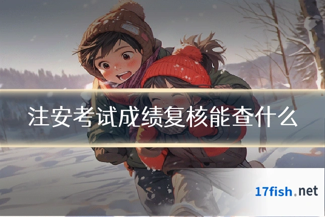 注安考试成绩复核能查什么