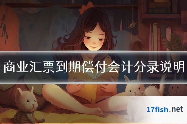 商业汇票到期偿付会计分录说明