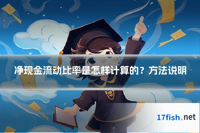 净现金流动比率是怎样计算的？方法说明