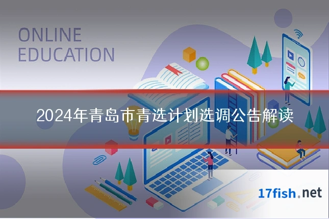 2024年青岛市青选计划选调公告解读