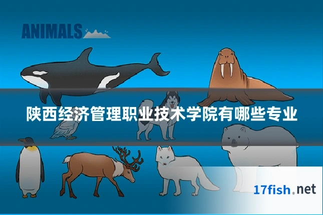 陕西经济管理职业技术学院有哪些专业