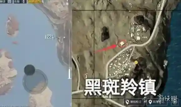 绝地求生:刺激战场黑斑羚