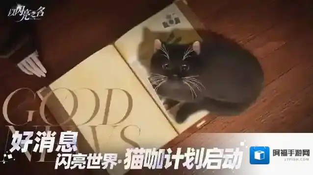 以闪亮之名  今日计划之准备在以闪亮之名开猫咖了！