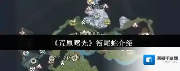 荒原曙光衔尾蛇