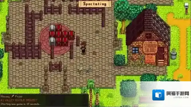 星露谷物语罗宾