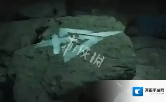 三角洲行动鸟窝