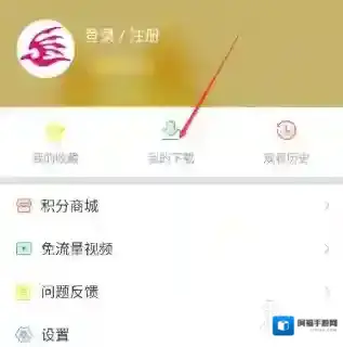 飞极速在线下载的视频