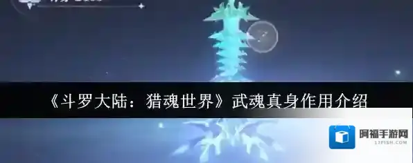 斗罗大陆:猎魂世界武魂真身