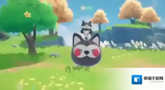 米姆米姆哈骑乘